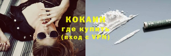 ПСИЛОЦИБИНОВЫЕ ГРИБЫ Абаза