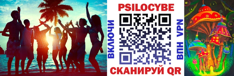 что такое   Болгар  Псилоцибиновые грибы GOLDEN TEACHER 